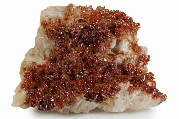 Glittering Ruby Red Vanadinite Crystals on Barite - Morocco #349422